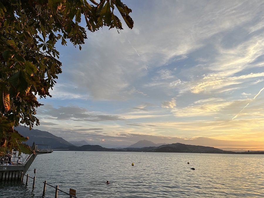 Blick auf den Zugersee (Foto: Jutta Bedehäsing)